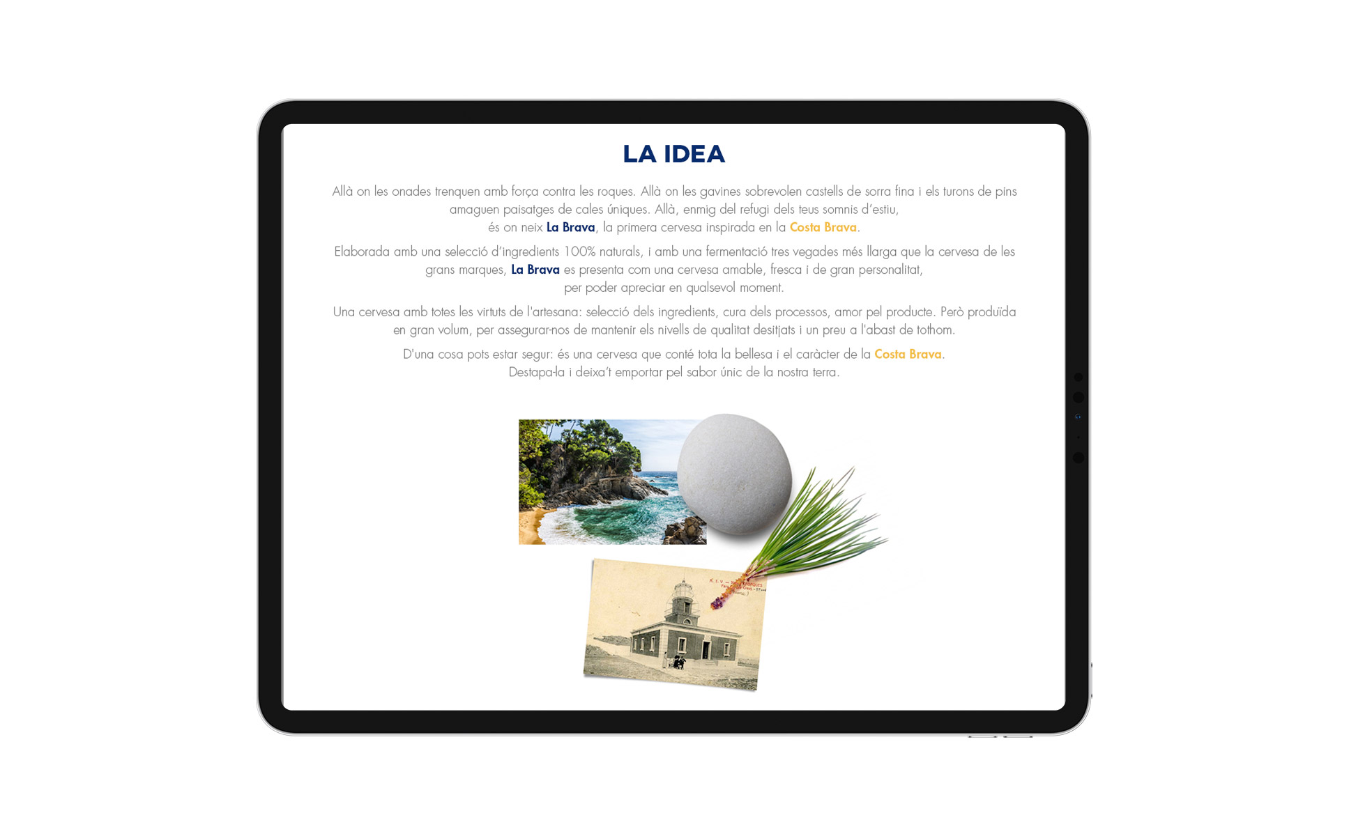 La Brava website design