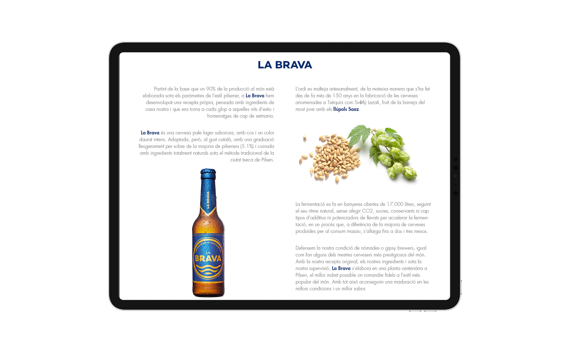 La Brava website about page